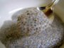 Eliminate All Stuck Stools and Deflate Your Belly With a Single Spoonful of This!