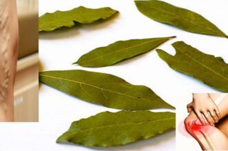 bay leaves