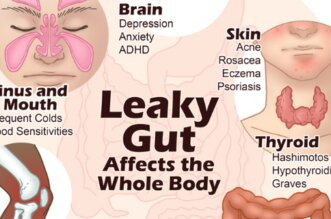 gut