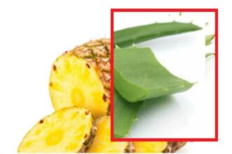 aloe vera