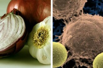 Anticancer Allies