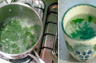 parsley tea