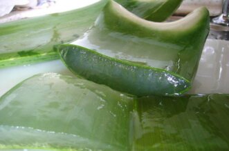 aloe juice