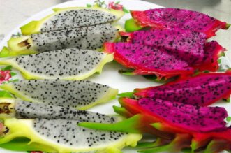 dragon fruit