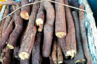 licorice root