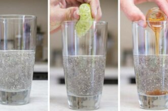 chia water